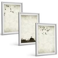 BILDER SET 3er Set - 40x60 cm Silberner Rahmen - Fliegende Vögel Minimalismus - Silberfarben, Kunststoff (40/60cm) - TULUP