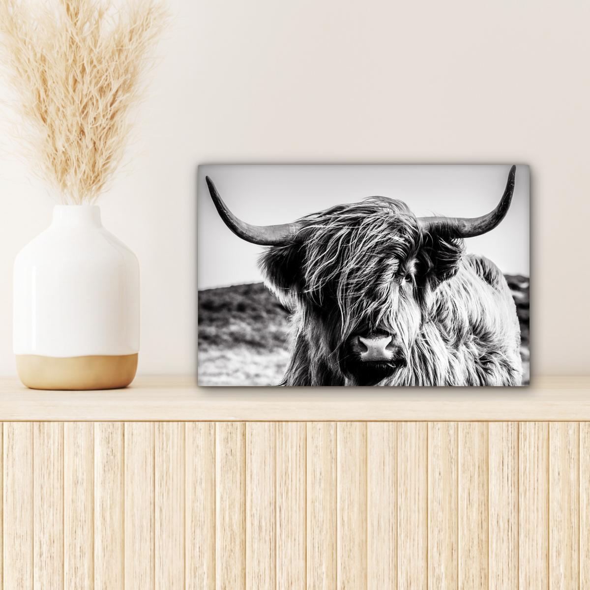 LEINWANDBILD Kuh - Schottischer Hochländer - Schwarz - Weiß - Tier - Natur - Wildtiere Deko Schlafzimmer 30x20 cm - Schwarz, Textil (30/20cm) - MuchoWow
