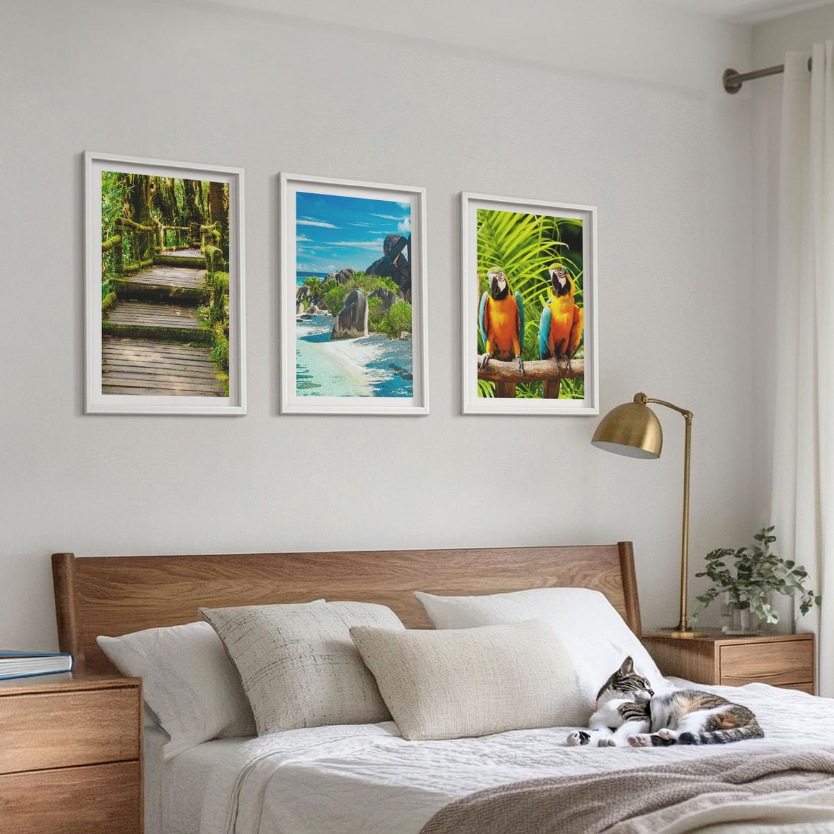 BILDER SET 3er Set - 40x60 cm Weißer Rahmen - Tropischer Wald Papageienwasserfall - Weiß, Kunststoff (40/60cm) - TULUP