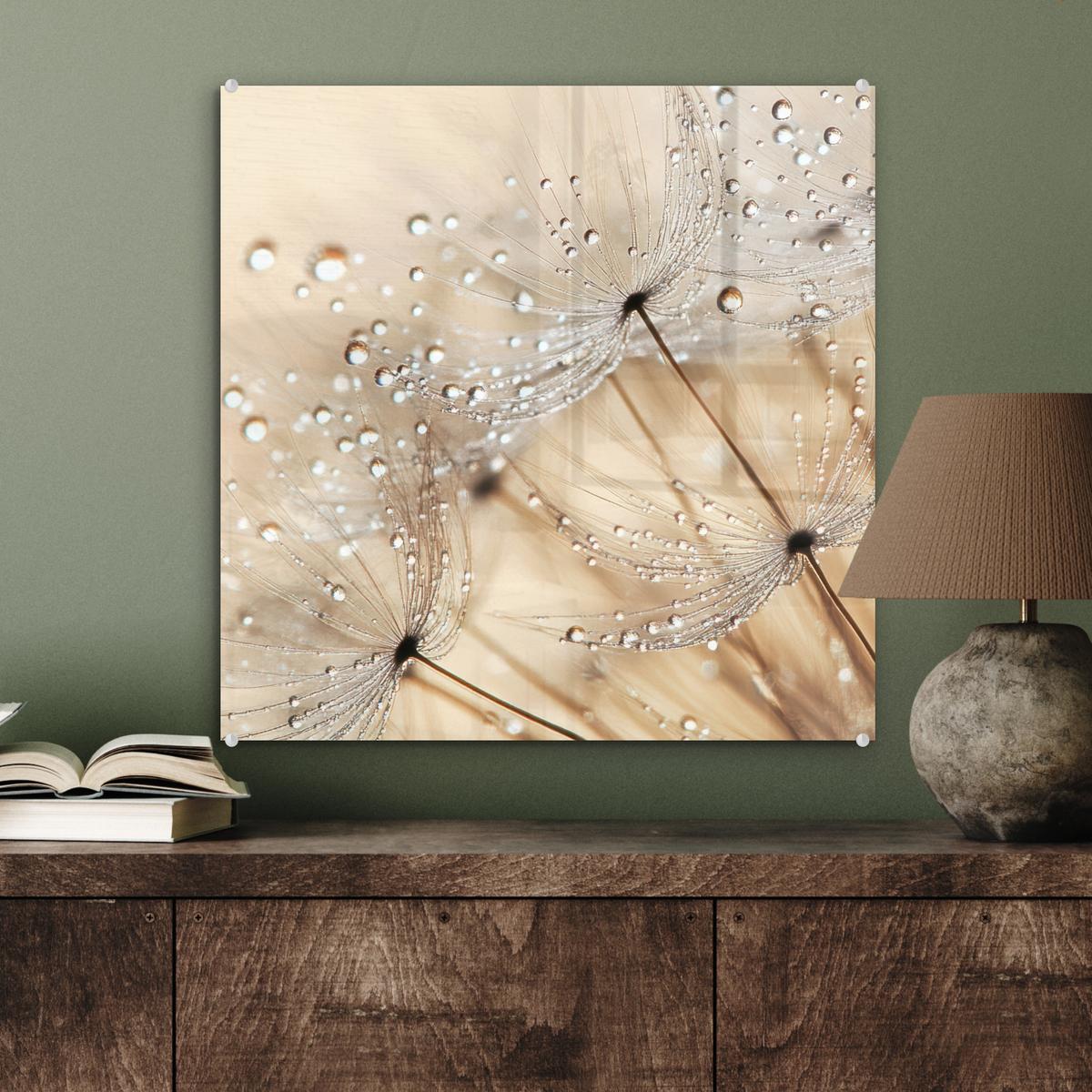 ACRYLGLASBILD Löwenzahn - Abstrakt - Natur - Beige 50x50 cm - Braun, Glas (50/50cm) - MuchoWow
