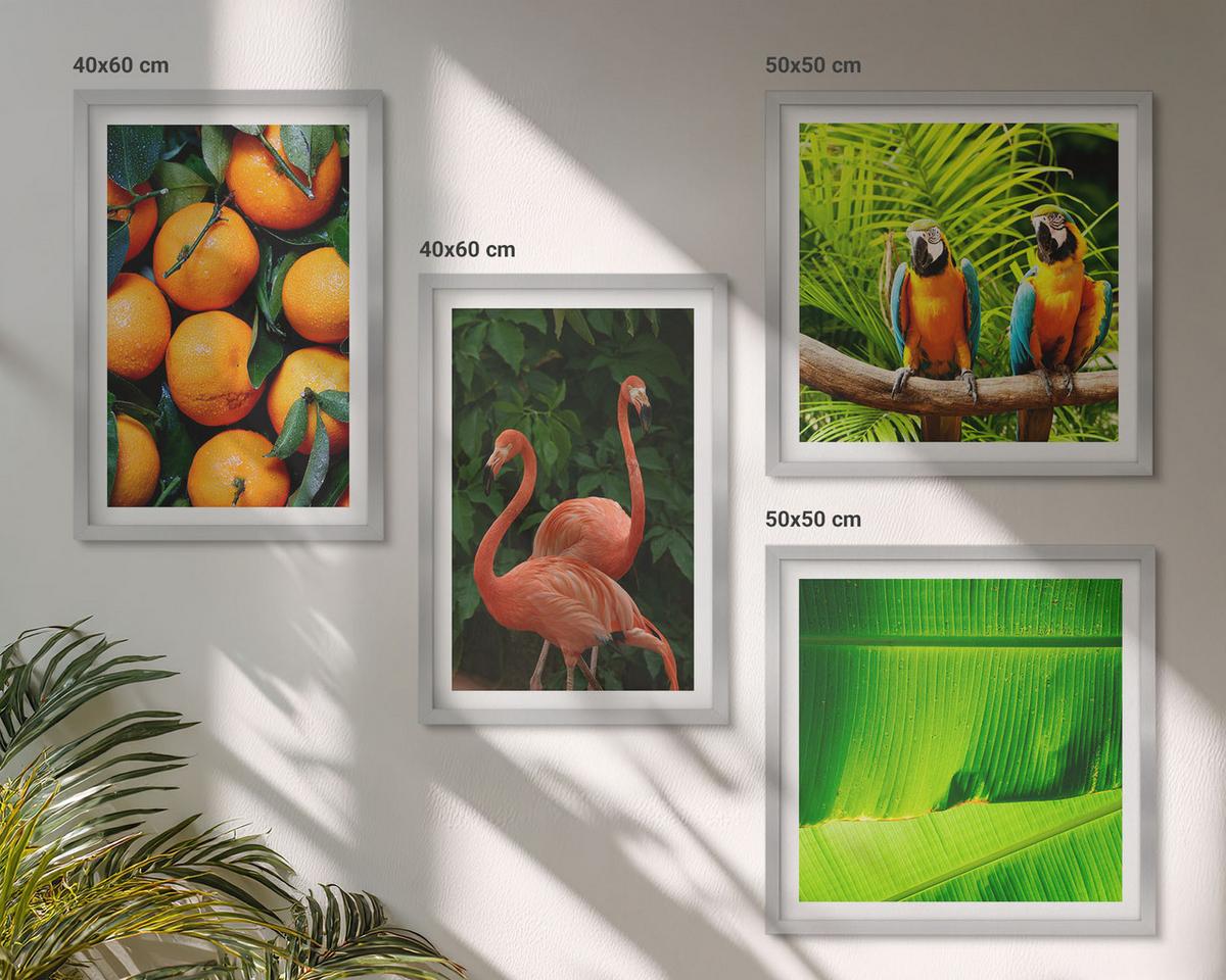 BILDER SET 4er Set - 50x50 cm & 40x60 cm Silberner Rahmen - Fruchtige Akzente der Tropen - Silberfarben, Kunststoff (50/50cm) - TULUP
