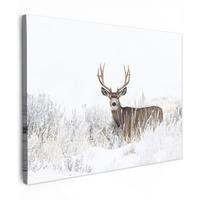 LEINWANDBILD Hirsche - Winter - Schnee - Tiere - Jahreszeiten - Weiß Wandbild 40x30 cm - Hellbraun, Textil (40/30cm) - MuchoWow