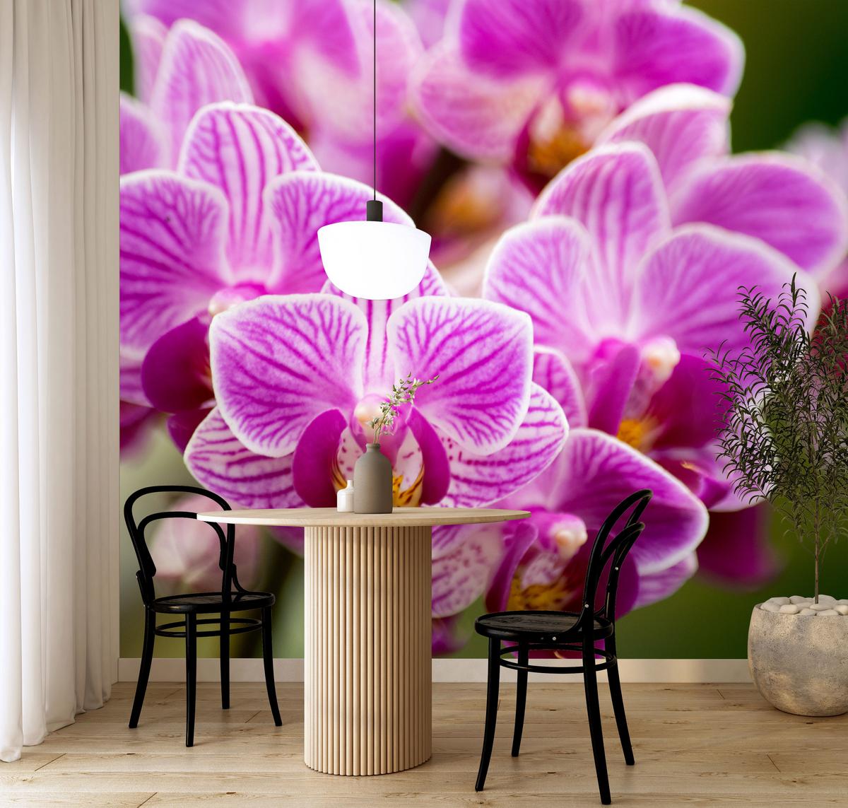 FOTOTAPETE für Wohnzimmer Violetter Orchideenstrauß Blumen 100x70 - Violett/Rosa, Papier (100/70cm) - Muralo
