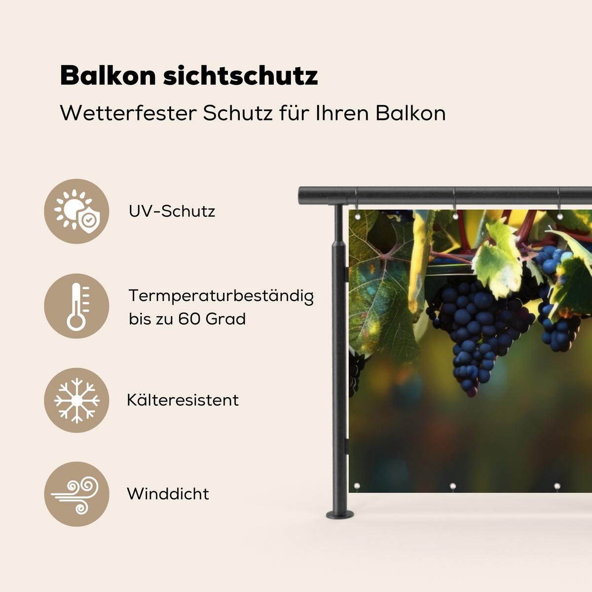 BALKON-SICHTSCHUTZ Trauben - Wein - Natur - Grün Windschutz 300x100 cm - Weinrot, Kunststoff (300/100cm) - MuchoWow
