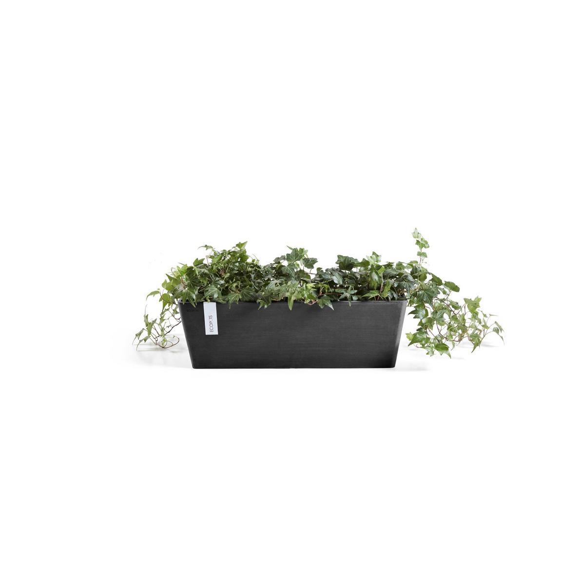 BLUMENTOPF mit Wasserreservoir Bruges 44,8/17/17,3 cm Dunkelgrau - Dunkelgrau, Kunststoff (44.8/17.3cm) - Ecopots