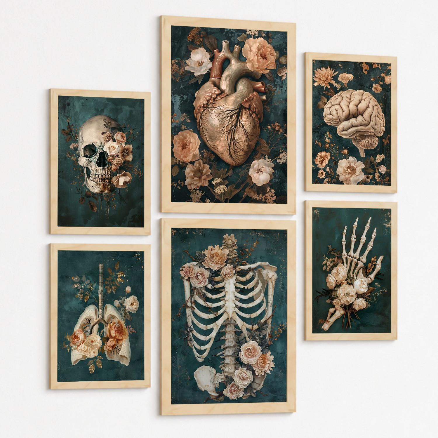 POSTER Kollektion aus 6 Anatomie Drucke und mit Herz Schädel Lungen Nieren und Gehirn Pergament Hintergrund dekoration Leichter Holzrahmen A3 & A4 - Beige, Papier (21/29.7/3cm) - Nacnic