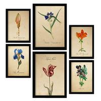 POSTER Set Mit 6 Blaue Blumen Vollfarbige Natur Und Botanikdrucke Mit Blumenmotiven Im Vintage Papier Stil Innenarchitektur A3 & A4 Schwarzer Rahmen - Schwarz, Papier (29/3cm) - Nacnic