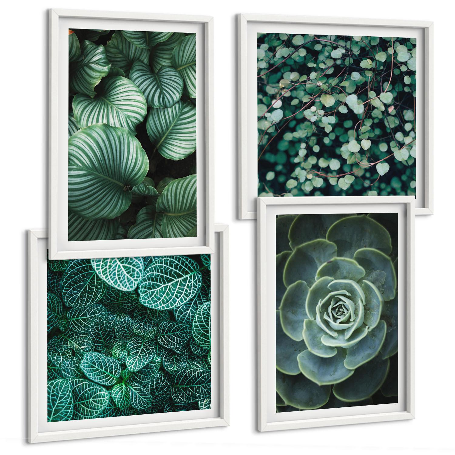 BILDER SET 4er Set - 50x50 cm & 40x60 cm Weißer Rahmen - Grüne Blätter von eleganten Sukkulenten - Weiß, Kunststoff (50/50cm) - TULUP