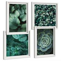 BILDER SET 4er Set - 50x50 cm & 40x60 cm Weißer Rahmen - Grüne Blätter von eleganten Sukkulenten - Weiß, Kunststoff (50/50cm) - TULUP