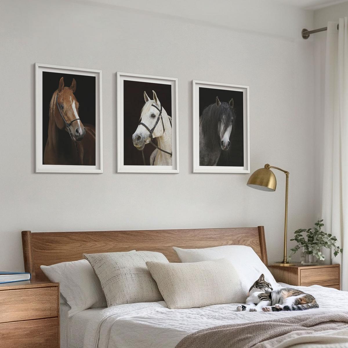 BILDER SET 3er Set - 40x60 cm Weißer Rahmen - Porträts von Pferden in verschiedenen Fellfarben - Weiß, Kunststoff (40/60cm) - TULUP