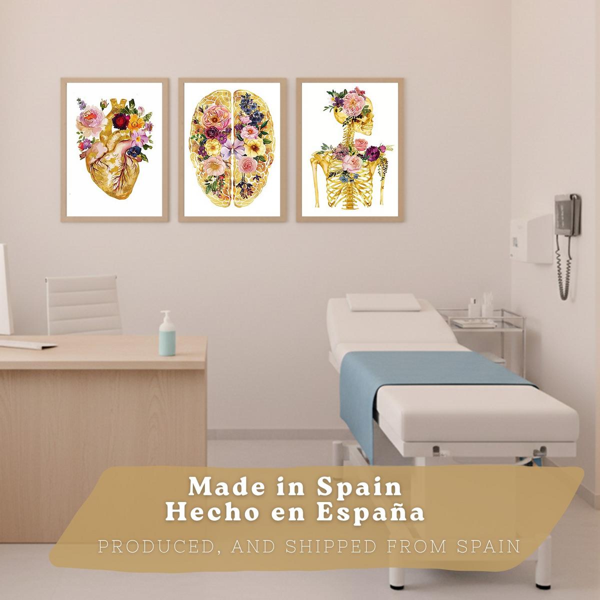 POSTER Set aus 3 Anatomie Mensch Drucke und Wandbilder mit Herz Gehirn und Skelett Goldenes Florales Design Größe Leichter Holzrahmen A3 - Beige, Papier (29.7/42/3cm) - Nacnic