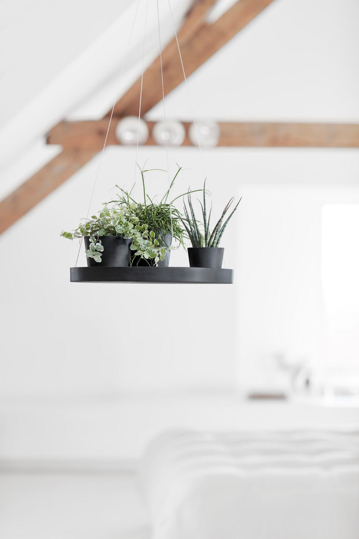 BLUMENTOPFUNTERSETZER Hängend 36/3 cm Dunkelgrau - Dunkelgrau, Kunststoff (36/3cm) - Ecopots