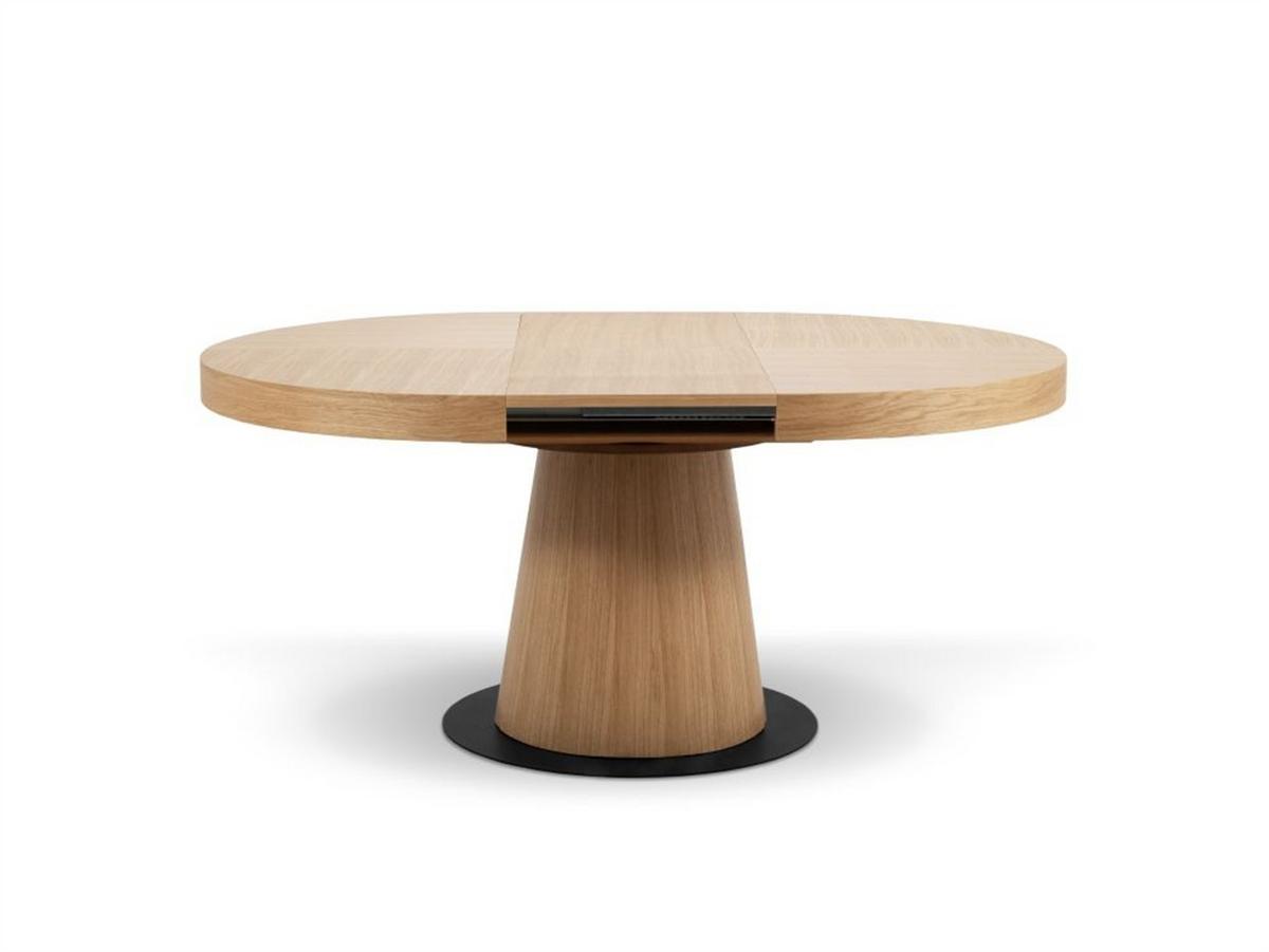 ESSTISCH METALO Ausziehbar 120 - 220 / 120 x 76 cm - Eichefarben, Holz (120/120/76cm) - MASSENO