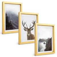 BILDER SET 3er Set - 20x30 cm Goldrahmen - Berglandschaft mit Hirschen - Goldfarben, Kunststoff (20/30cm) - TULUP