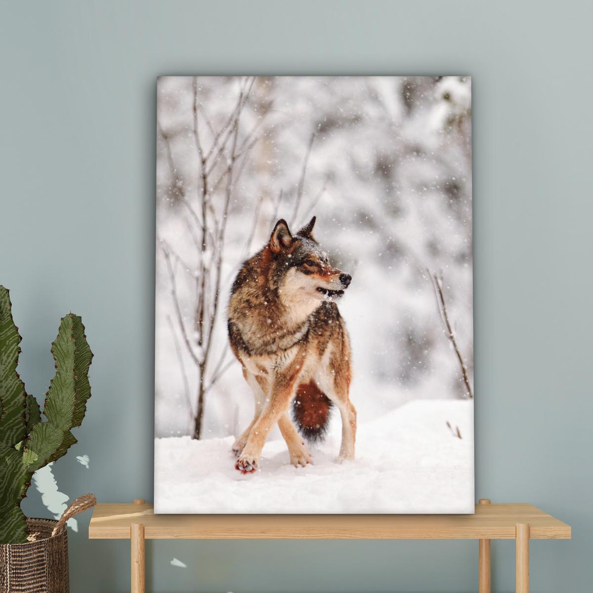 LEINWANDBILD Wolf - Winter - Schnee - Natur - Tiere Wandbild Wohnzimmer 60x80 cm - Haselnussfarben, Textil (60/80cm) - MuchoWow