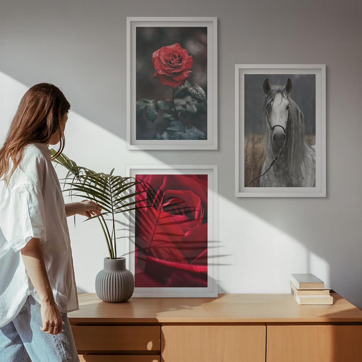 BILDER SET 3er Set - 40x60 cm Weißer Rahmen - Rote Rosen, Pferdegrau, Welt - Weiß, Kunststoff (40/60cm) - TULUP