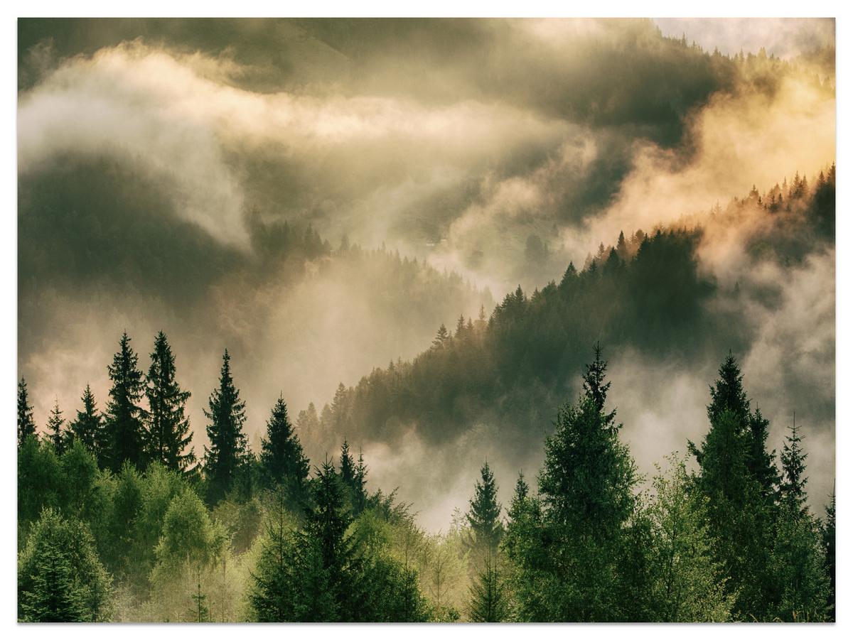 FOTOTAPETE für Wohnzimmer Neblige Landschaft Bergwald Nadelbäume 250x175 - Gelb/Orange, Papier (250/175cm) - Muralo