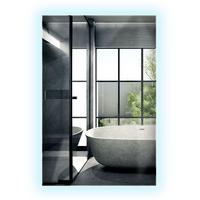 LED-SPIEGEL 60x40 cm Rechteckig Kaltweiß 6000K - Transparent, Glas (40/60/0.4cm) - Wallfluent
