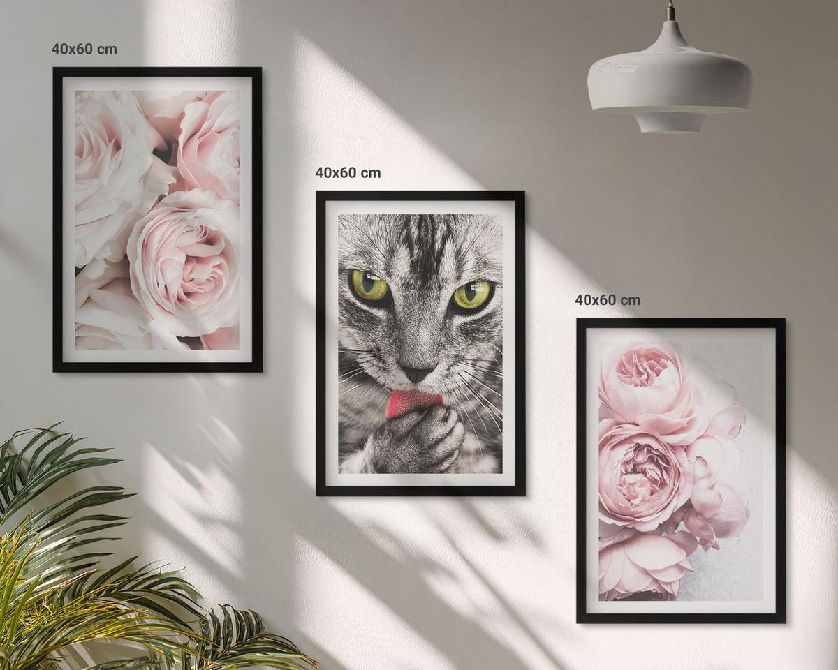 BILDER SET 3er Set - 40x60 cm Schwarzer Rahmen - Katze in rosa Blumen - Schwarz, Kunststoff (40/60cm) - TULUP