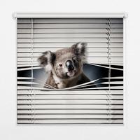 INNENROLLO - Fensterrollo - Rollo - 150x180 cm - Koala - Grau, Kunststoff (150/180/0.5cm) - TULUP