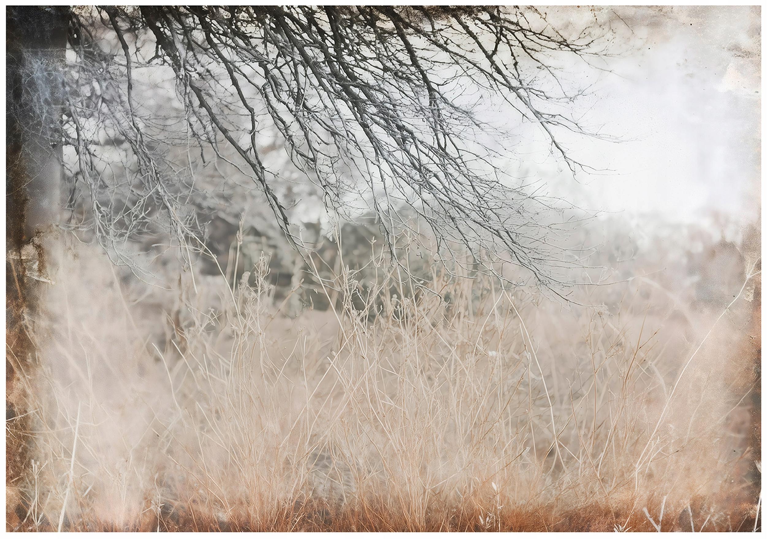 FOTOTAPETE Wiese Abstrakt Braun 200x140 cm - Multicolor, Papier (200/140cm) - Wallarena