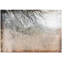 FOTOTAPETE Wiese Abstrakt Braun 200x140 cm - Multicolor, Papier (200/140cm) - Wallarena