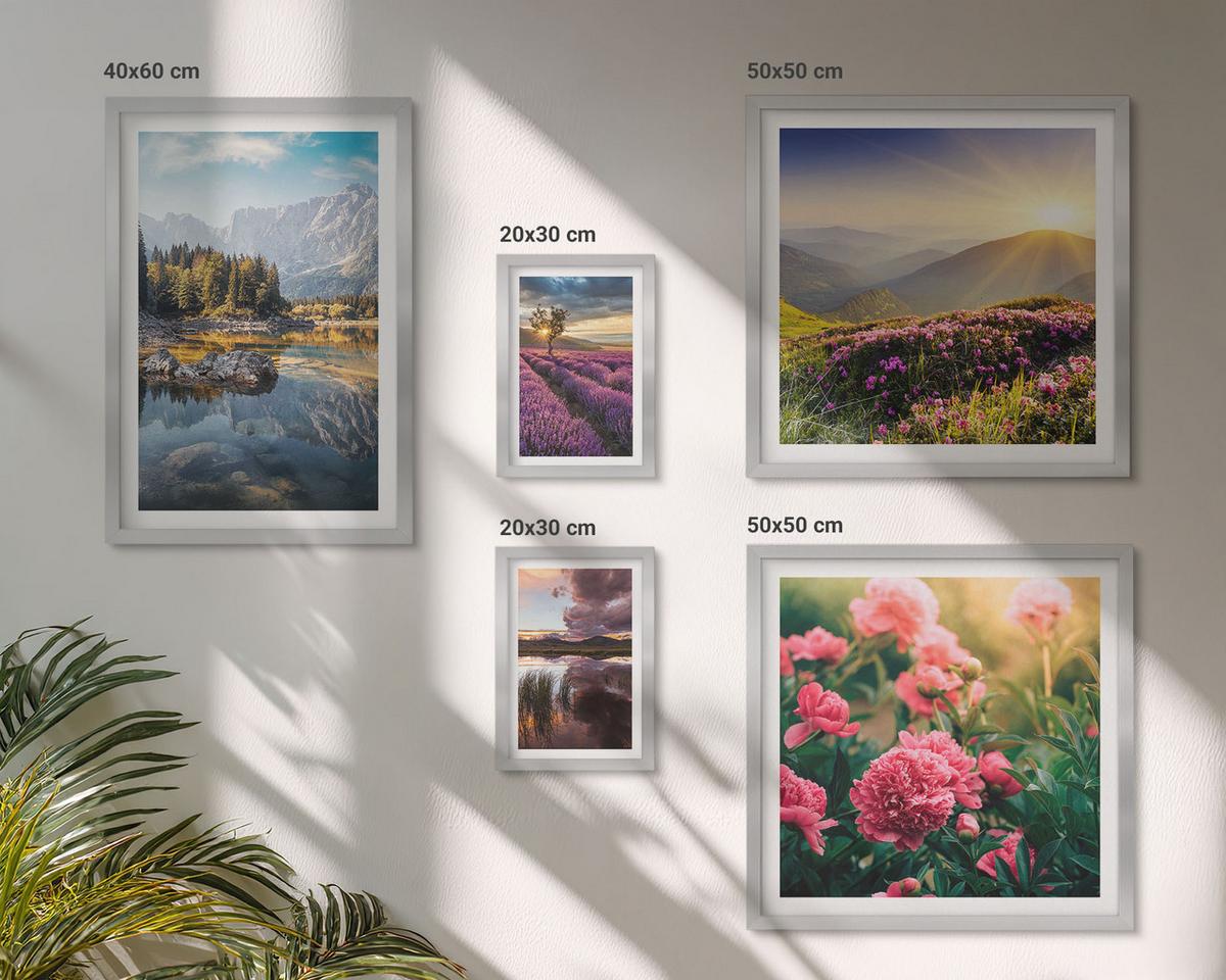 BILDER SET 5er Set - 50x50 cm & 20x30 cm & 40x60 cm Silberner Rahmen - Blumengarten, Bergwiese, Wasser - Silberfarben, Kunststoff (40/60cm) - TULUP