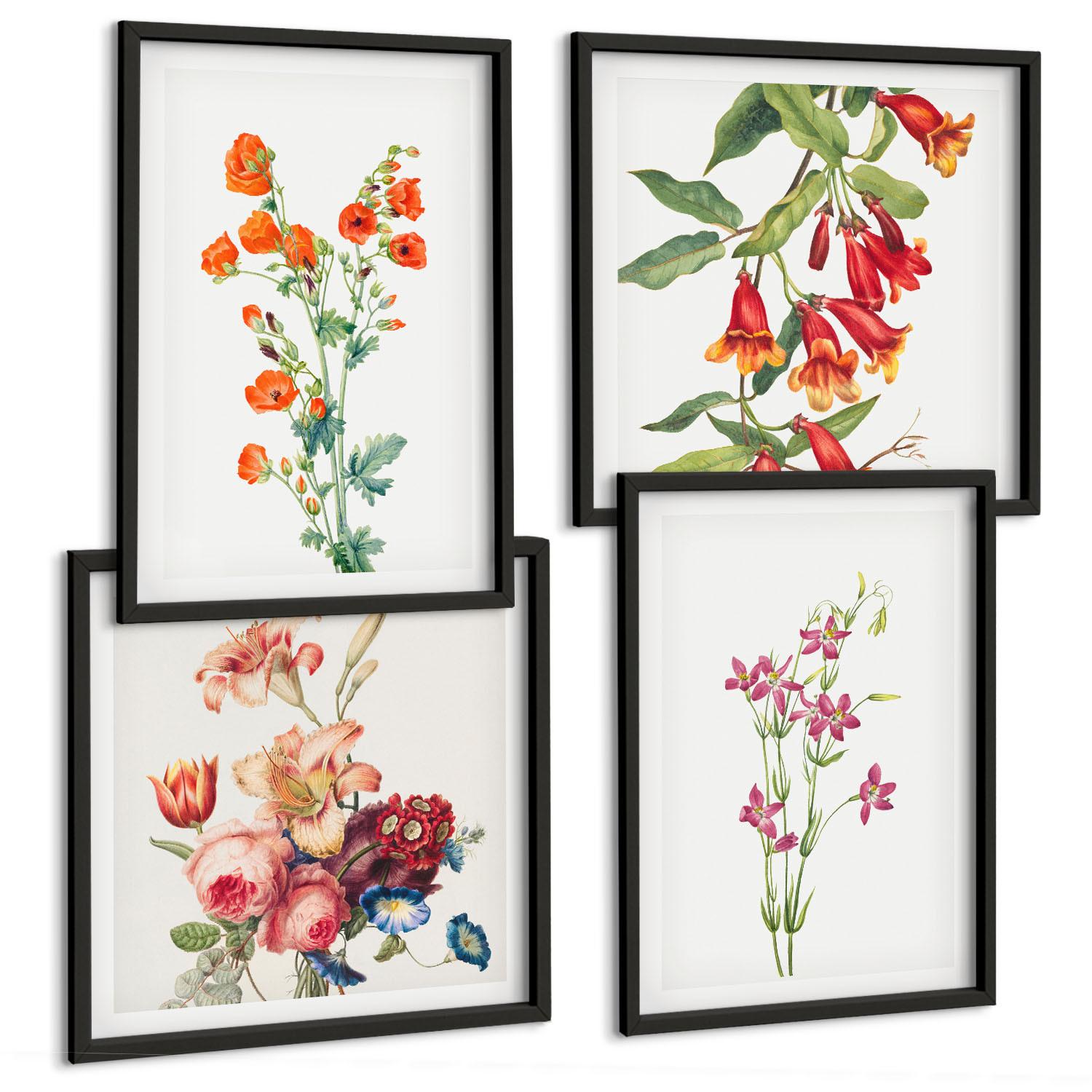 BILDER SET 4er Set - 50x50 cm & 40x60 cm Schwarzer Rahmen - Blumenmalerei im Retro-Stil - Schwarz, Kunststoff (50/50cm) - TULUP