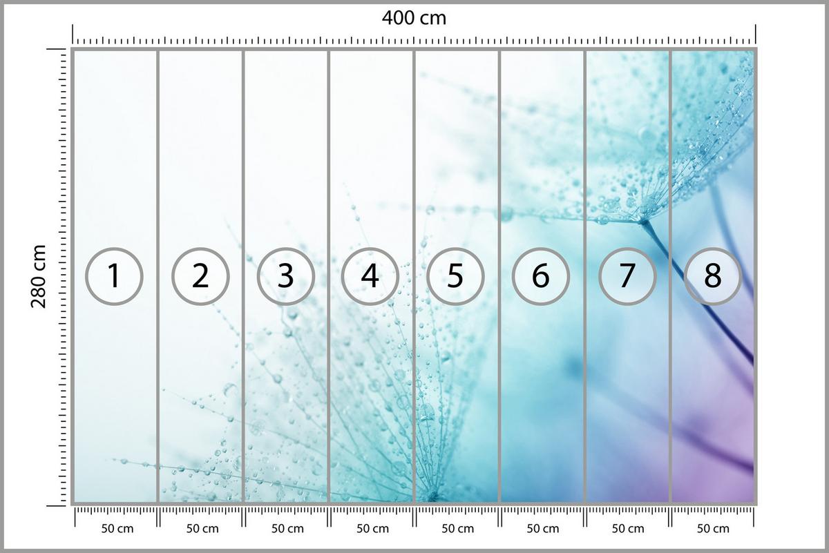 FOTOTAPETE für Badezimmer Leuchtende Löwenzahnblüten Wassertropfen Blau 400x280 - Türkis/Blau, Papier (400/280cm) - Muralo