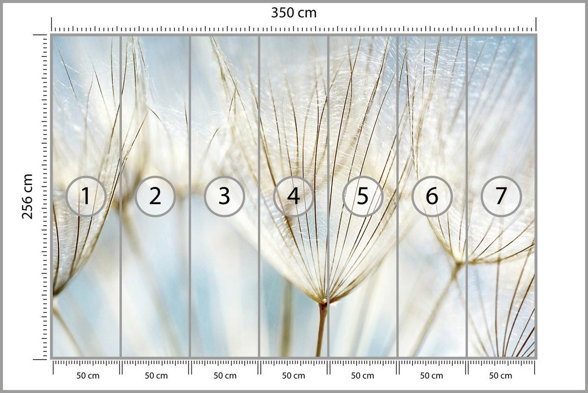 FOTOTAPETE für Wohnzimmer Löwenzahn Pflanzen Natur 350x256 - Blau/Beige, Papier (350/256cm) - Muralo