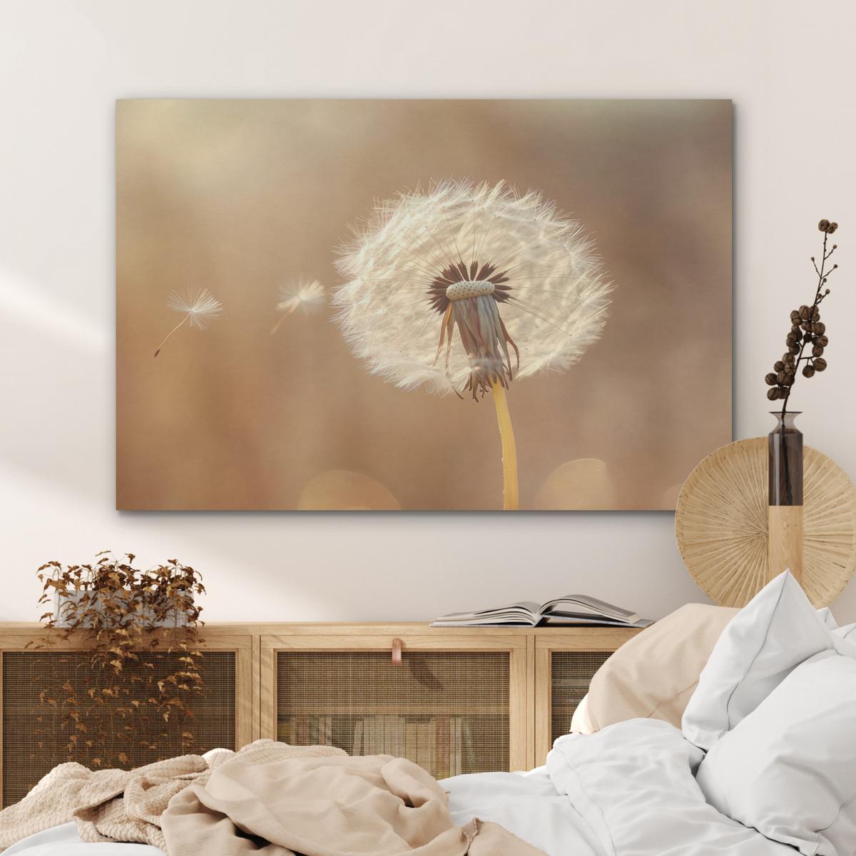AKUSTIKBILD Löwenzahn - Beige - Natur - Blume Wandbild Wohnzimmer 100x70 cm - Hellbraun, Kunststoff (100/70/0.9cm) - MuchoWow