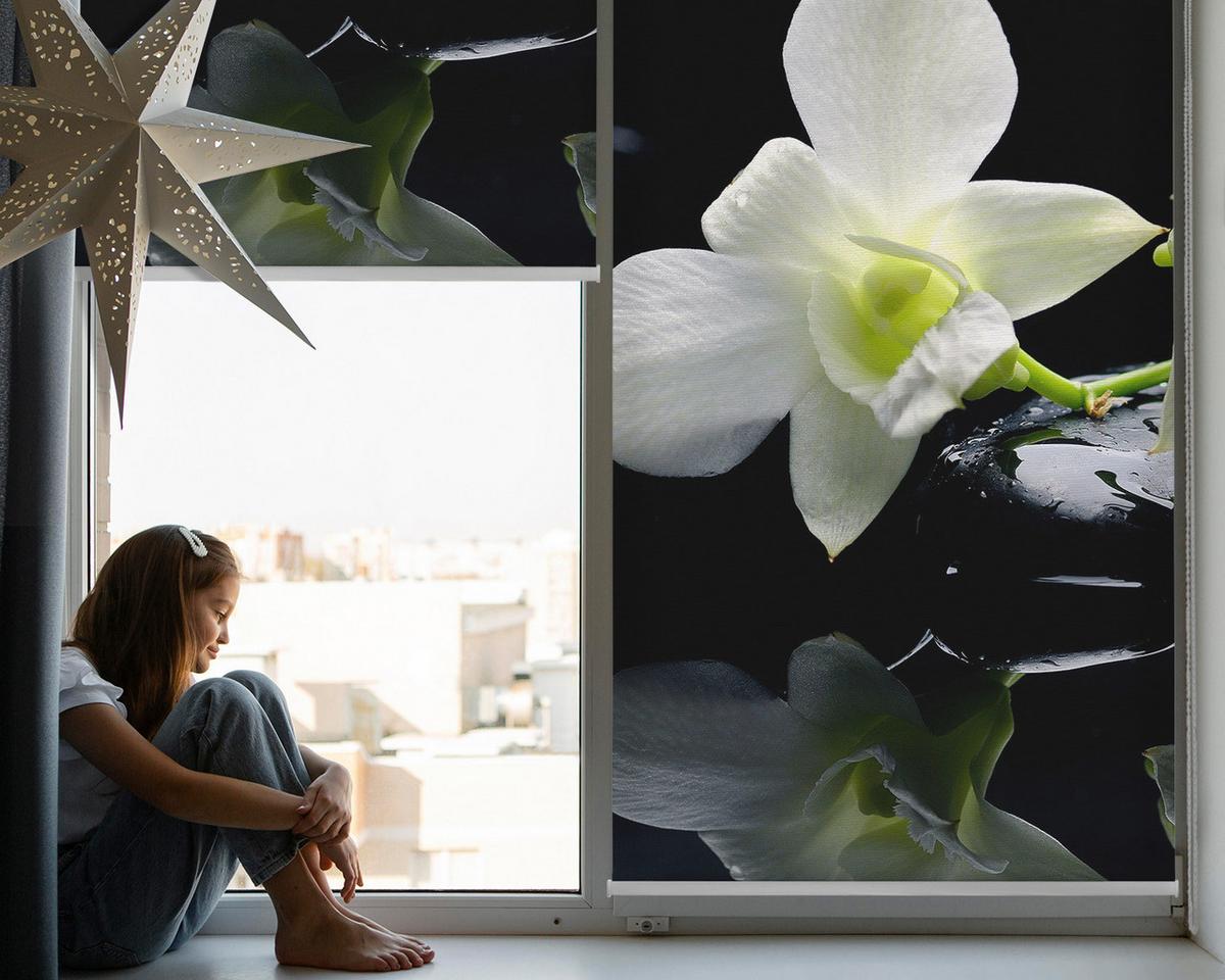 INNENROLLO - Fensterrollo - Rollo - 120x140 cm - Orchideen - Schwarz, Kunststoff (120/140/0.5cm) - TULUP