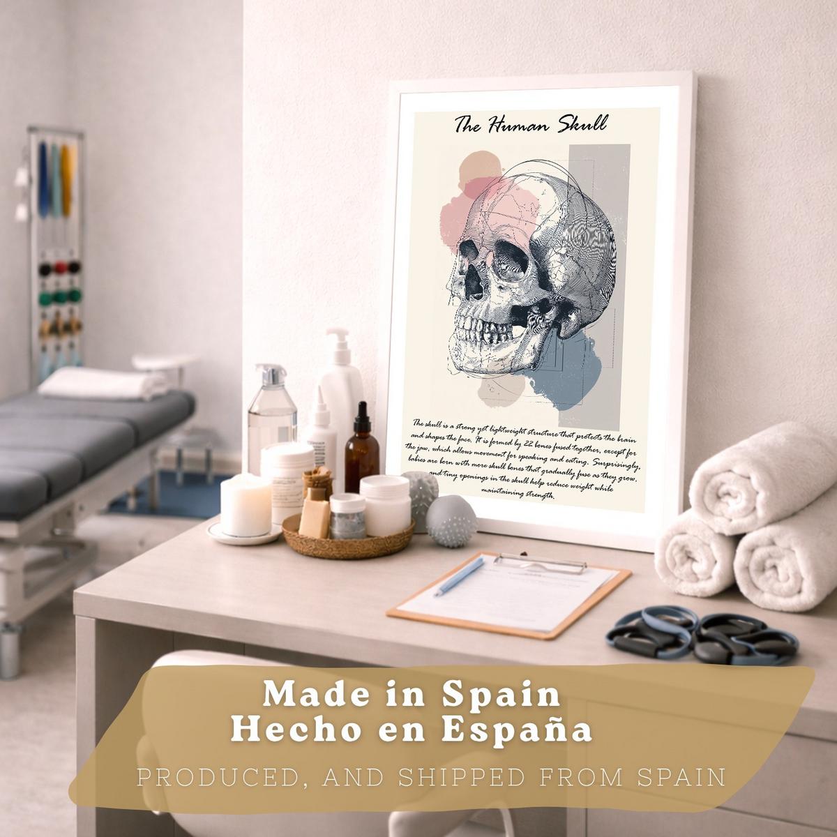 POSTER Set aus 2 Anatomie Mensch Lernposter Drucke und Wandbilder mit Skelett Rippen und Schädel Klinik Büro Dekoration Größe Weißer Rahmen A3 - Weiß, Papier (29.7/42/3cm) - Nacnic