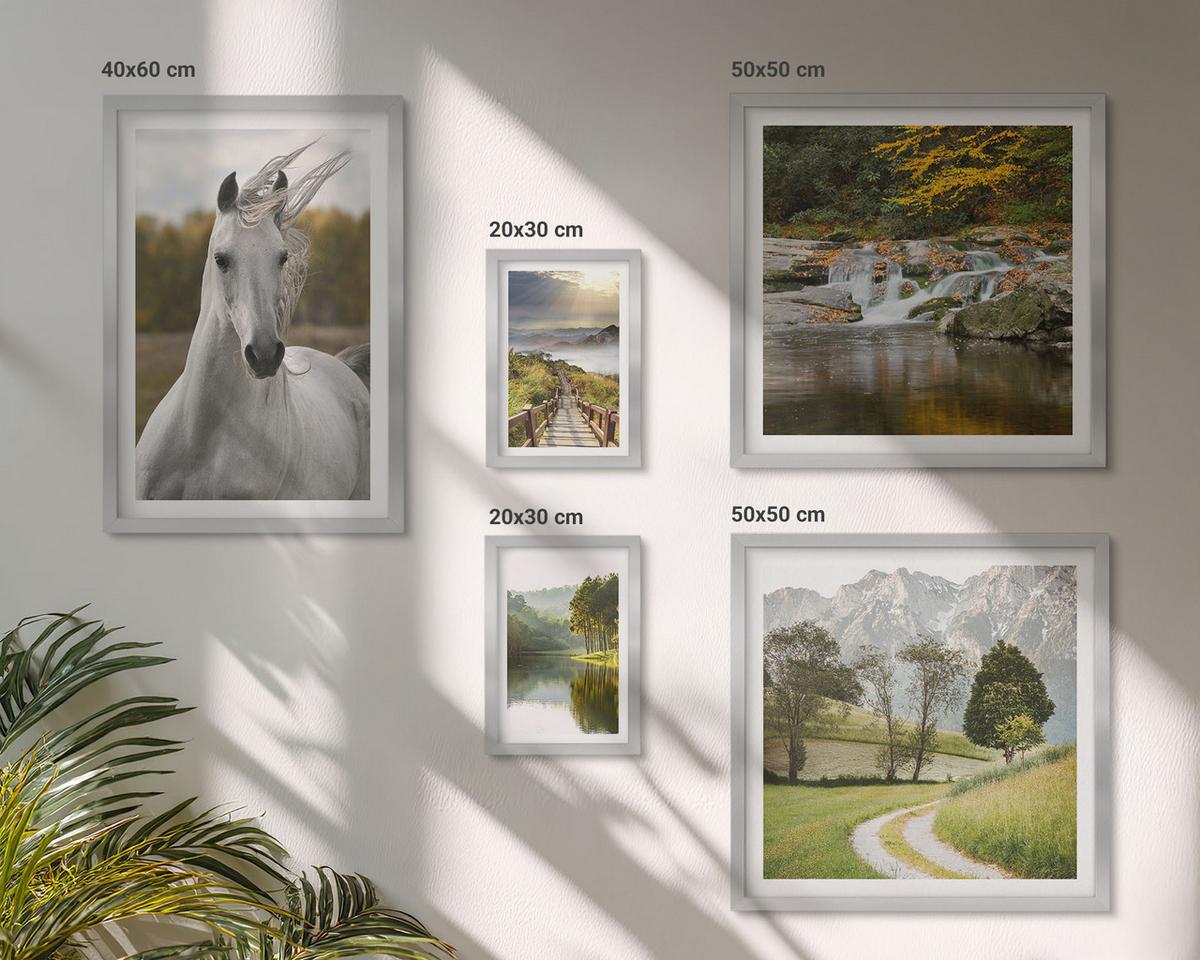 BILDER SET 5er Set - 50x50 cm & 20x30 cm & 40x60 cm Silberner Rahmen - Natur des Flusses White Horses - Silberfarben, Kunststoff (40/60cm) - TULUP