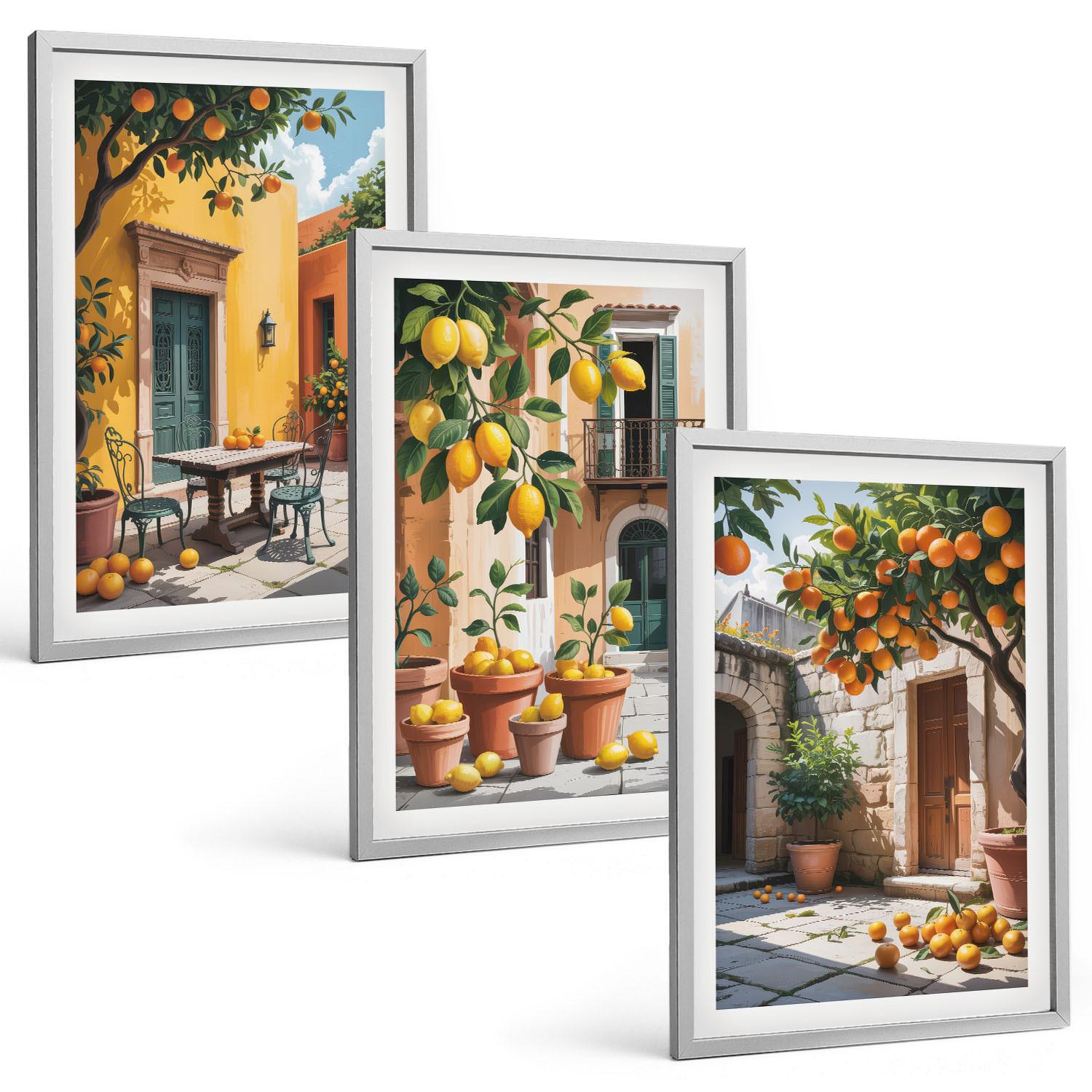 BILDER SET 3er Set - 40x60 cm Silberner Rahmen - Zitrusfrüchte im Garten - Silberfarben, Kunststoff (40/60cm) - TULUP