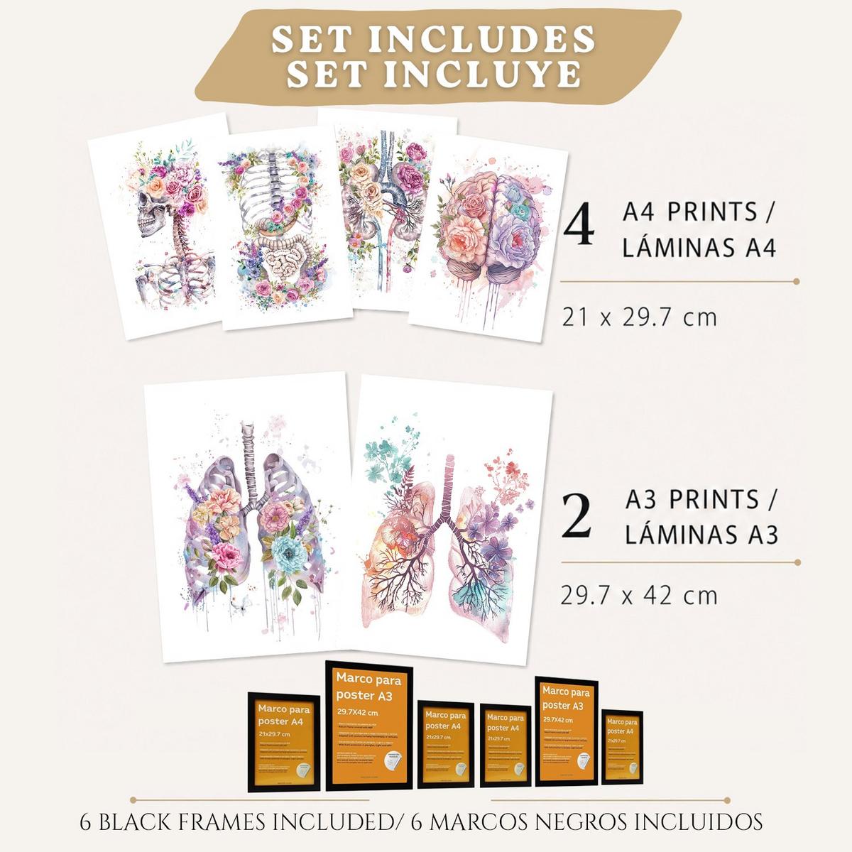 POSTER Set aus 6 Anatomie Mensch Florale Aquarell Drucke und mit Gehirn Lungen Skelett Nieren und Organen Botanische Größe Schwarzer Rahmen A3 & A4 - Schwarz, Papier (29.7/42/3cm) - Nacnic