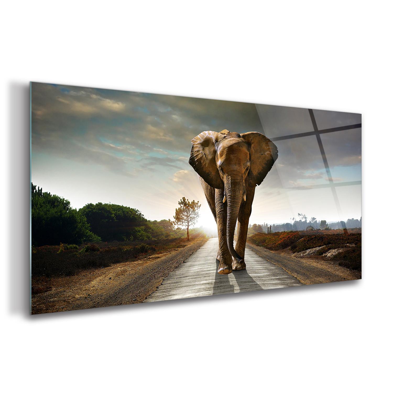GLASBILD 140x70 cm Safari-Sonnenuntergang - Braun, Glas (140/70cm) - TULUP