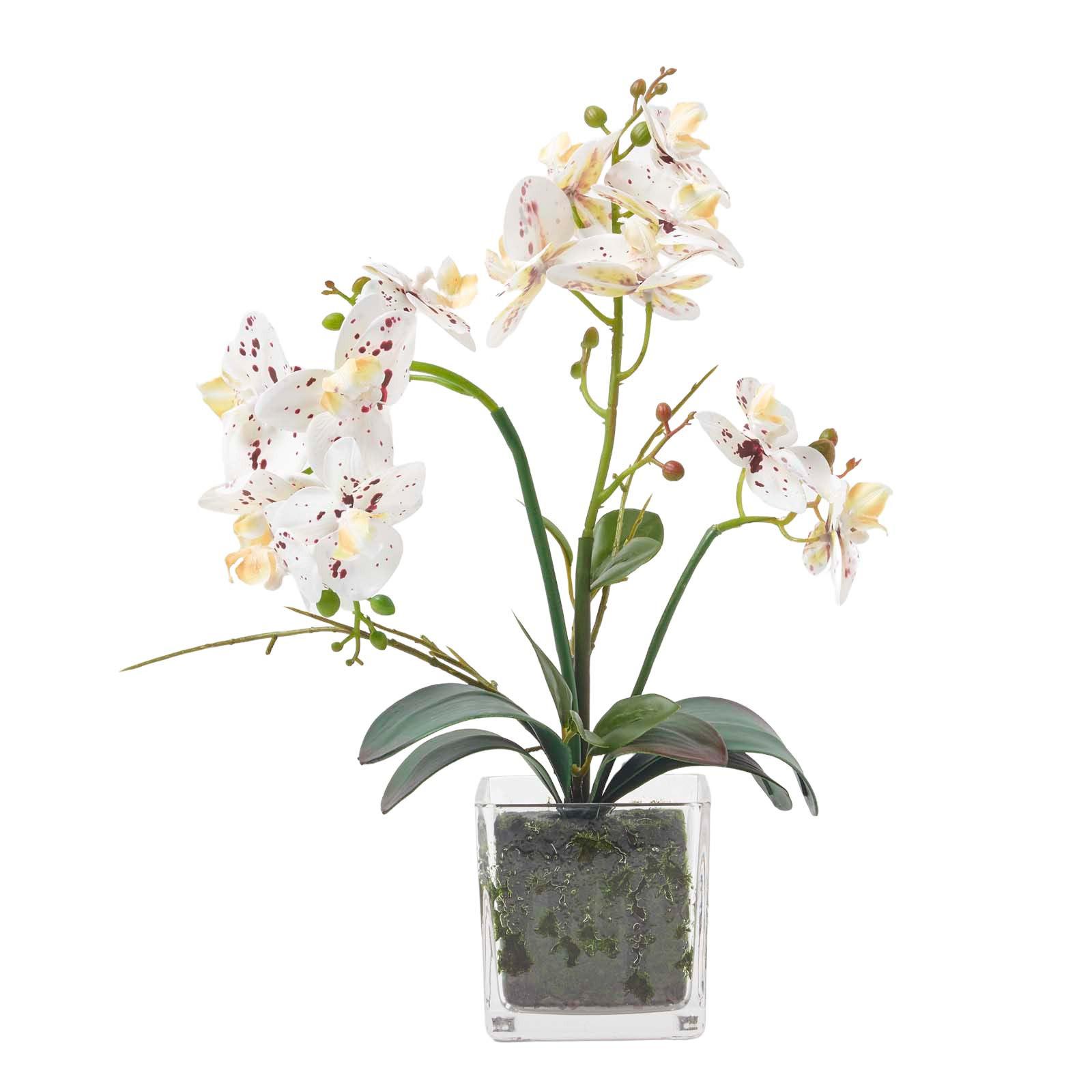 KUNSTBLUME Orchidee weiß-pink im Glas-Topf, 42 cm - Weiß, Kunststoff (42cm) - Homescapes