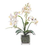 KUNSTBLUME Orchidee weiß-pink im Glas-Topf, 42 cm - Weiß, Kunststoff (42cm) - Homescapes
