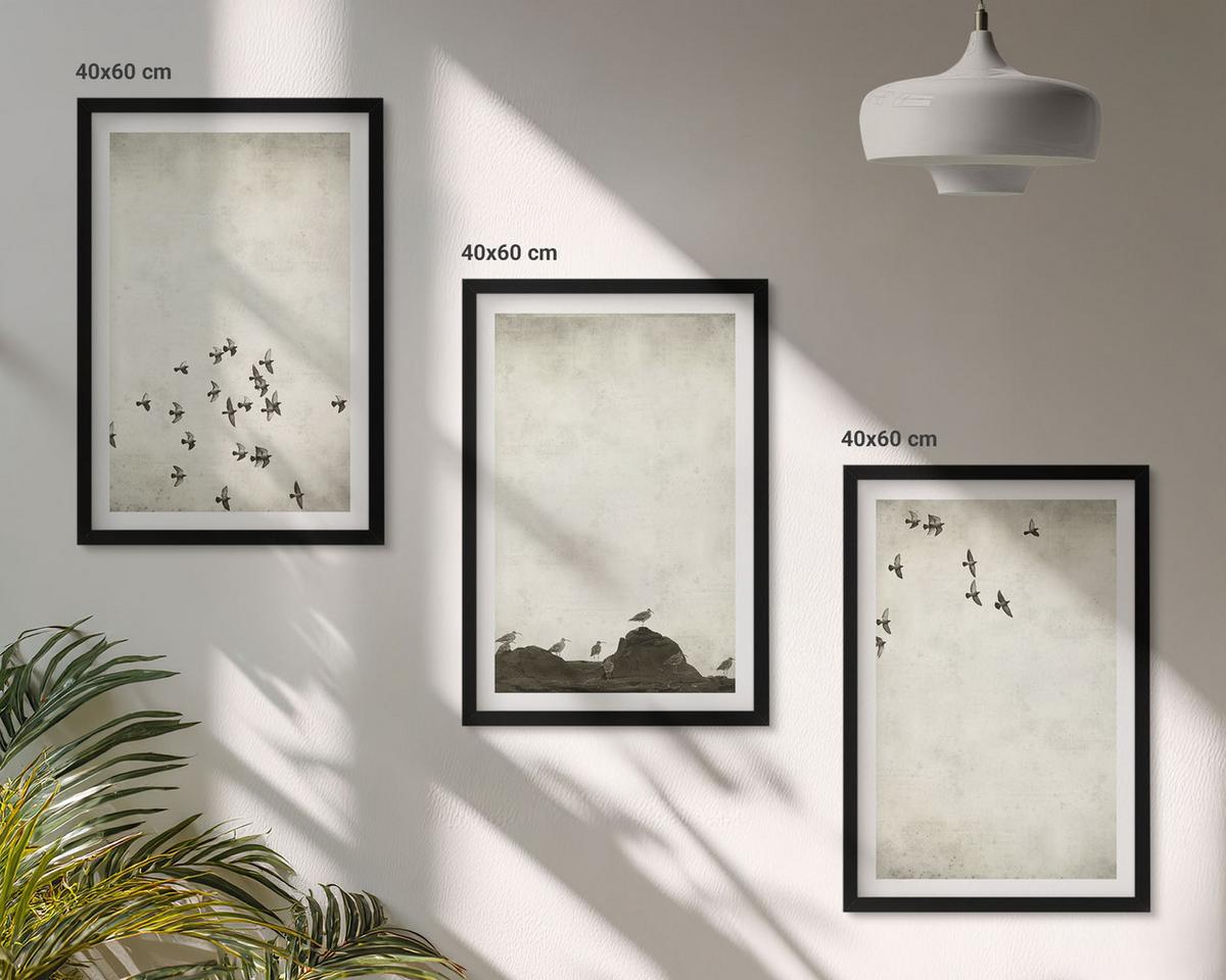 BILDER SET 3er Set - 40x60 cm Schwarzer Rahmen - Vögel im Flug, minimalistischer Stil - Schwarz, Kunststoff (40/60cm) - TULUP