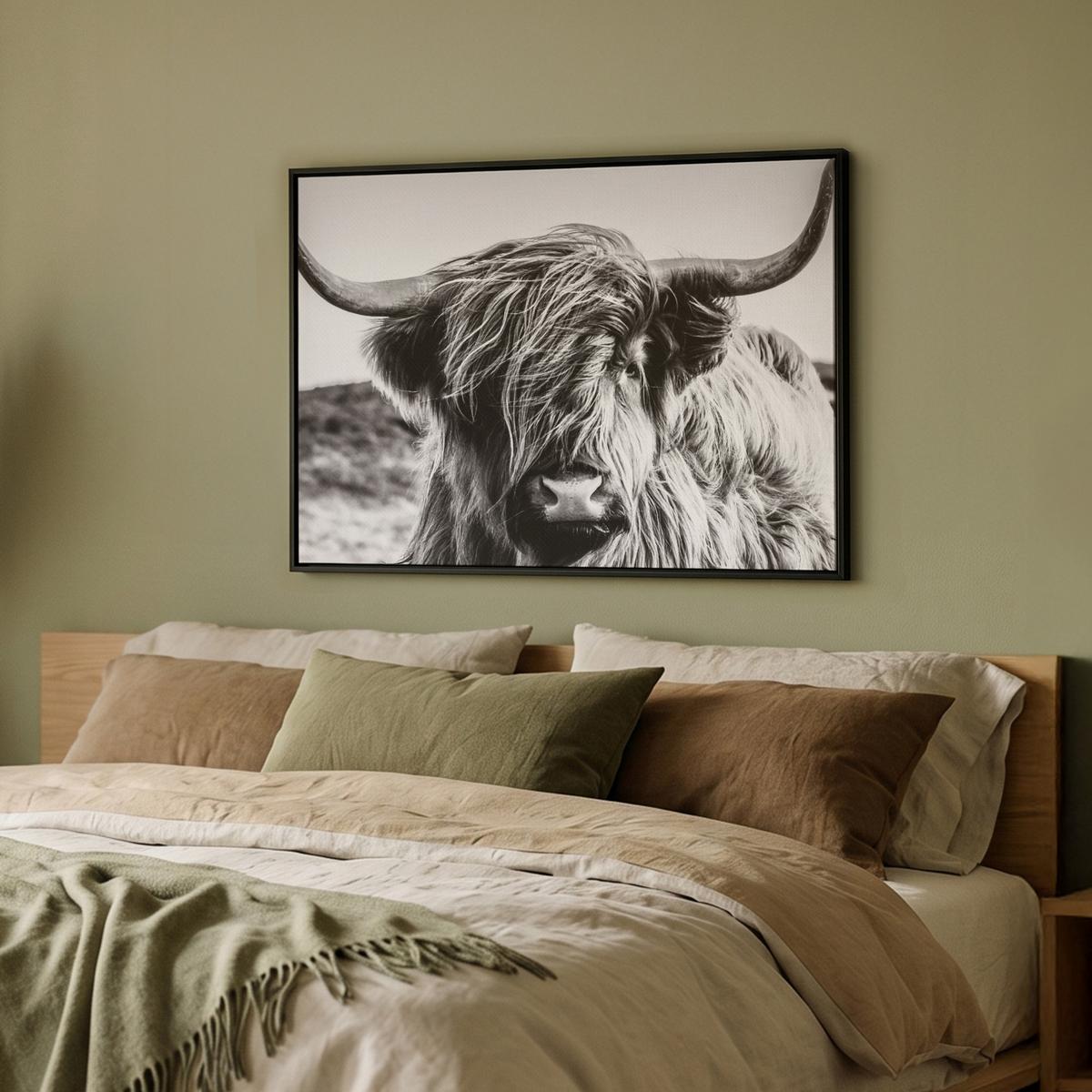 LEINWAND Bilder mit Rahmen - Kuh - Schottischer Hochländer - Schwarz - Weiß - Tier - Natur - Wildtiere - 80x60 - Schwarz, Textil (80/60cm) - MuchoWow