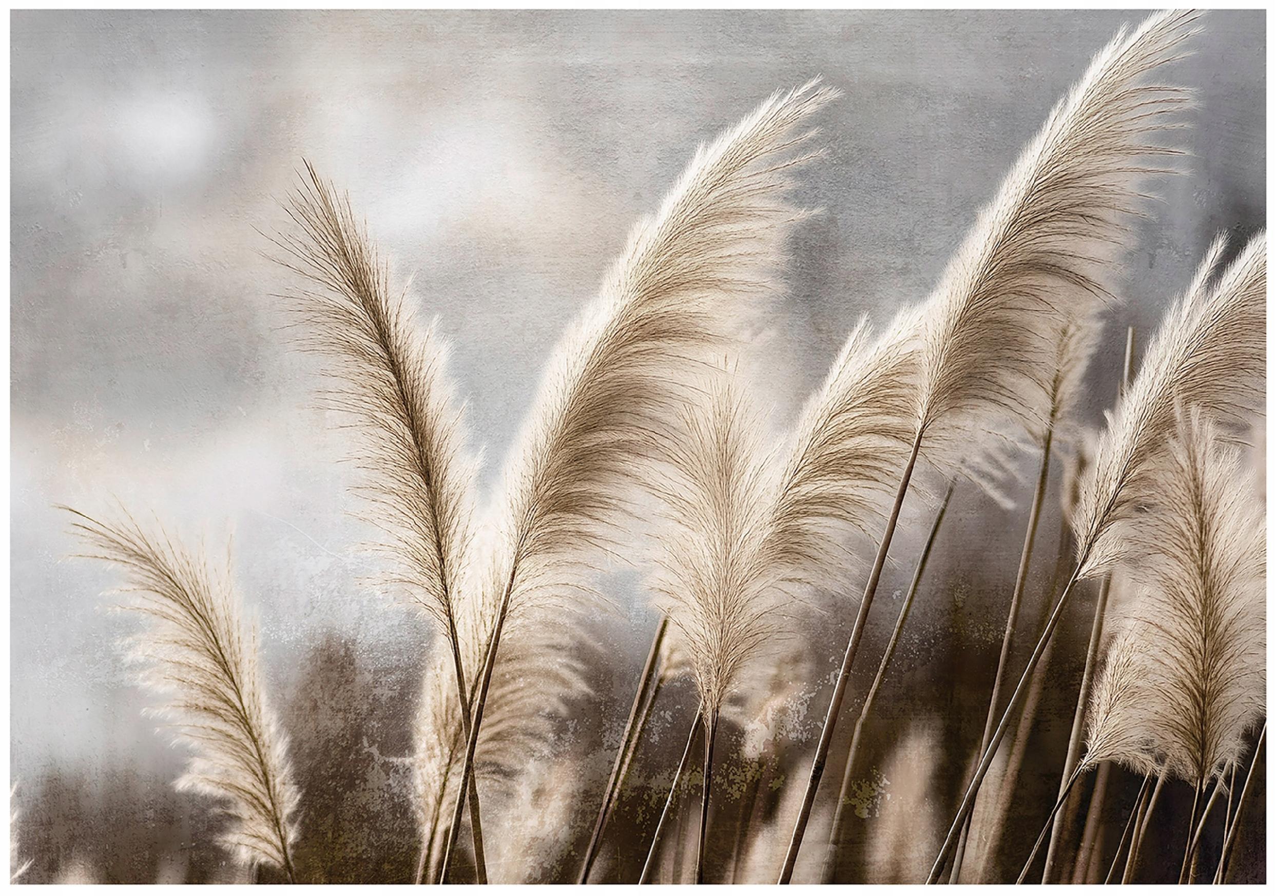 FOTOTAPETE Pampasgras Natur Beige 416x254 cm - Multicolor, Textil (416/254cm) - Wallarena