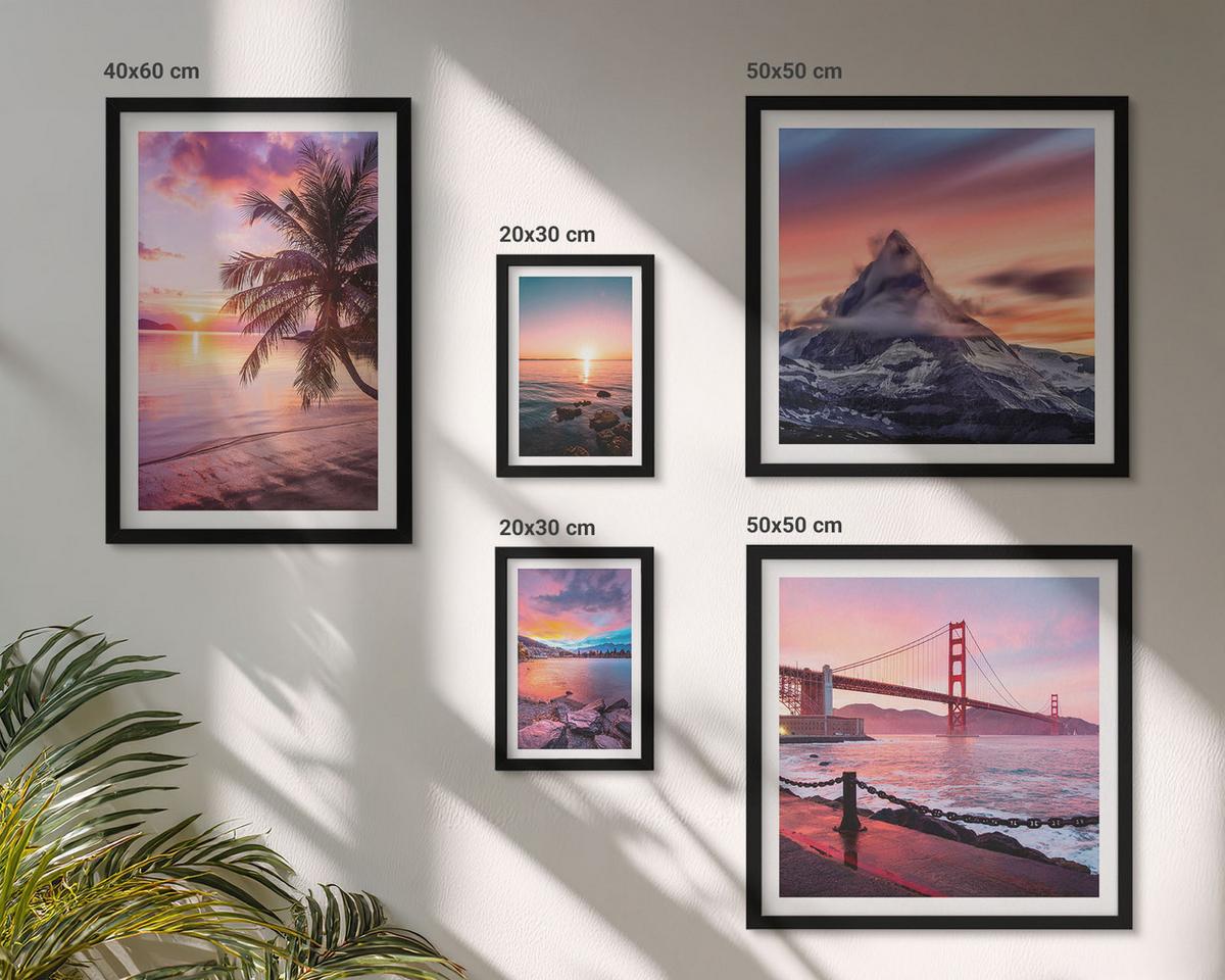 BILDER SET 5er Set - 50x50 cm & 20x30 cm & 40x60 cm Schwarzer Rahmen - Rosen, Champagner, Marmor, Pastell - Schwarz, Kunststoff (40/60cm) - TULUP