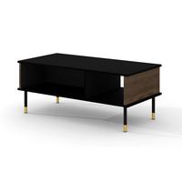COUCHTISCH Rani Holz und Schwarz - Schwarz, Holzwerkstoff (55/110/45cm) - Petits-meubles