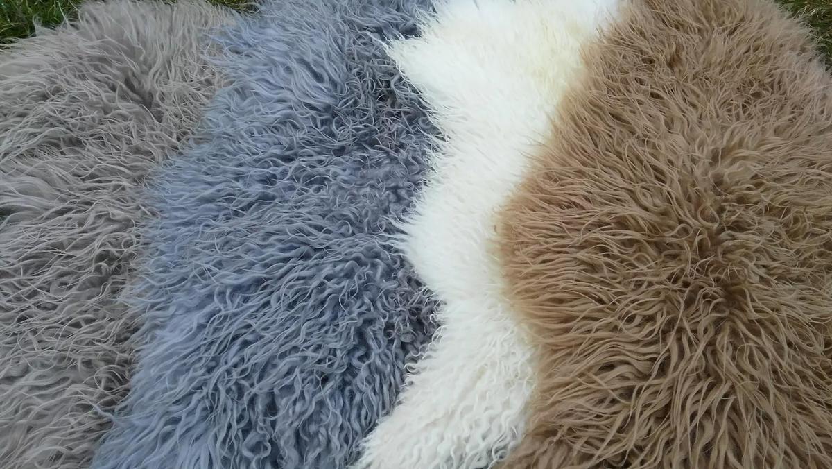 SCHAFFELL Island Lammfell lockig ca. 110 cm Naturfarben - Grau, Fell (60/110cm)