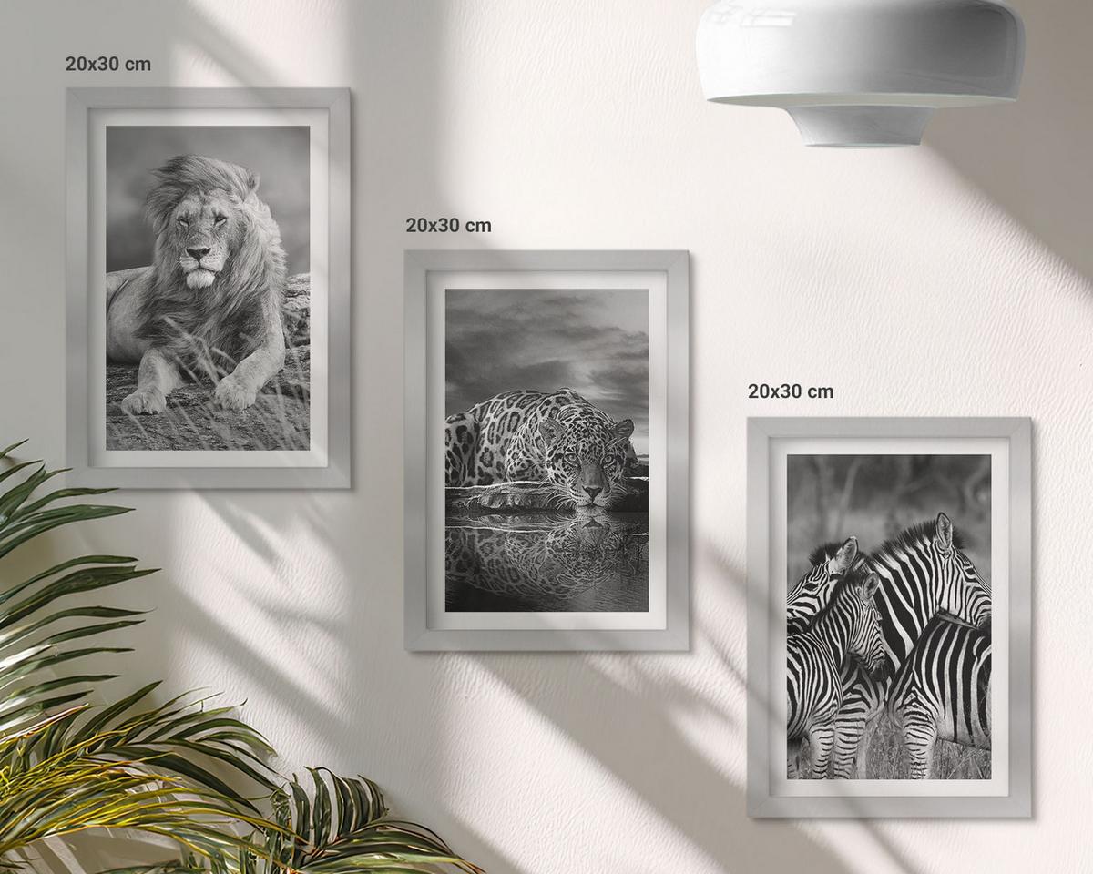 BILDER SET 3er Set - 20x30 cm Silberner Rahmen - Wildtiere der Savanne - Silberfarben, Kunststoff (20/30cm) - TULUP