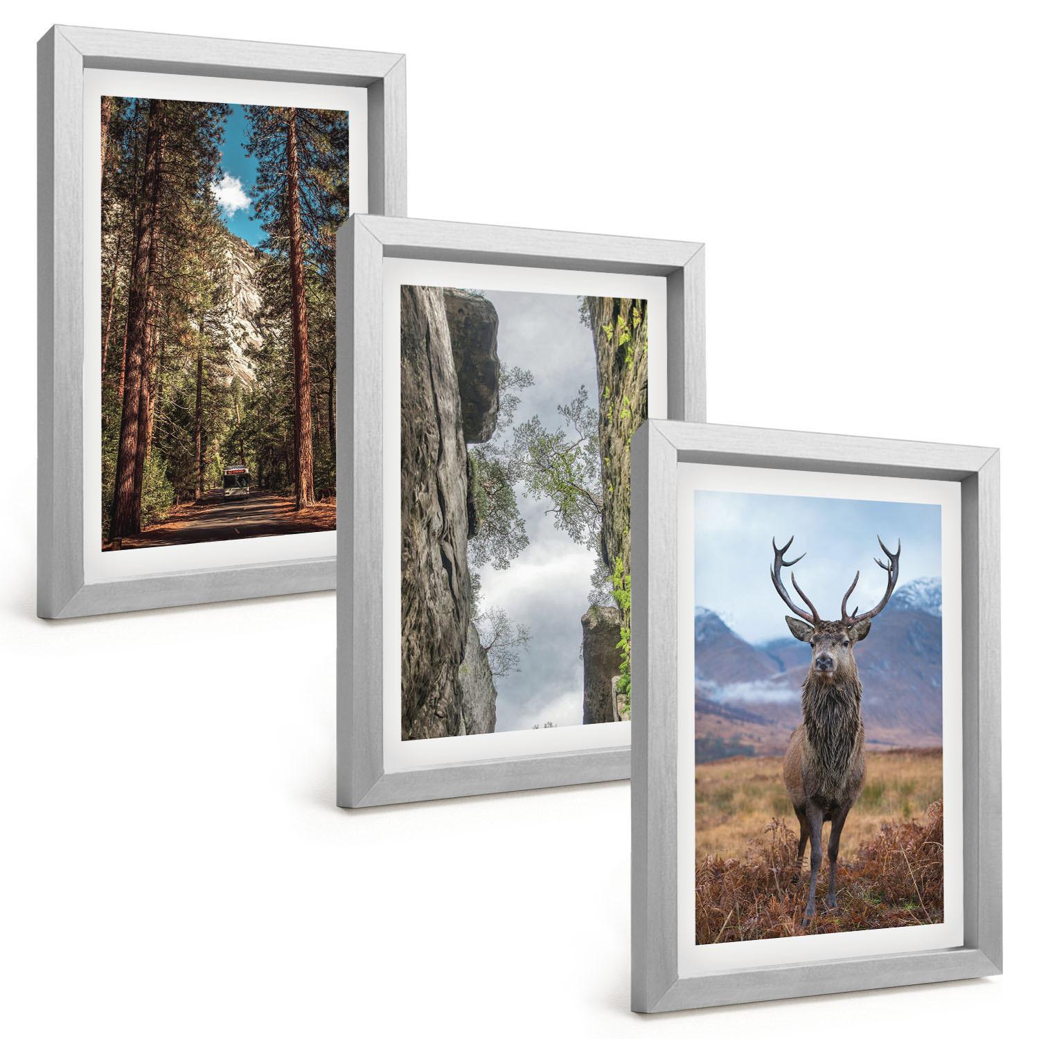 BILDER SET 3er Set - 20x30 cm Silberner Rahmen - Straße Wald Berge Hirsch Natur - Silberfarben, Kunststoff (20/30cm) - TULUP