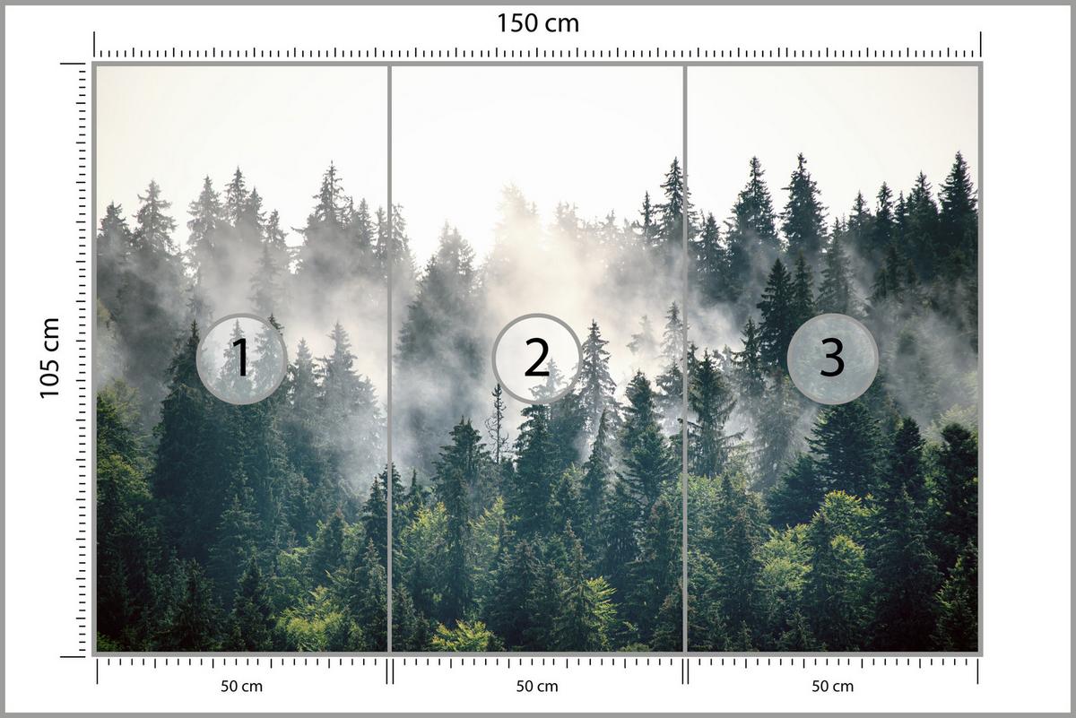 FOTOTAPETE für Wohnzimmer Nebeliger Nadelwald Berg Mystik Bäume 150x105 - Weiß/Grün, Papier (150/105cm) - Muralo