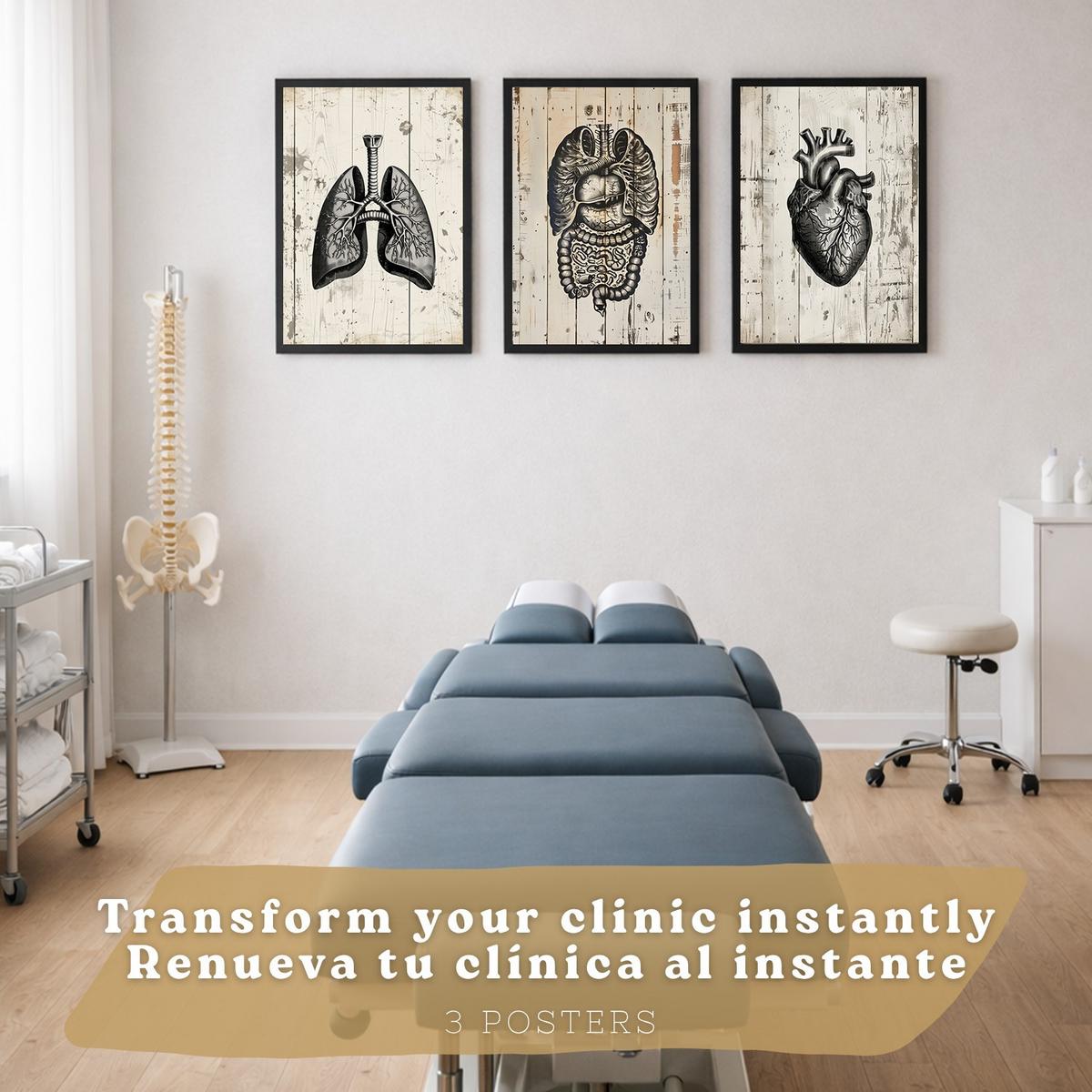 POSTER Set aus 3 Anatomie Mensch Drucke und Wandbilder mit Lungen Darm und Herz Rustikaler Stil Medizinische Wanddekoration Größe Schwarzer Rahmen A3 - Schwarz, Papier (29.7/42/3cm) - Nacnic