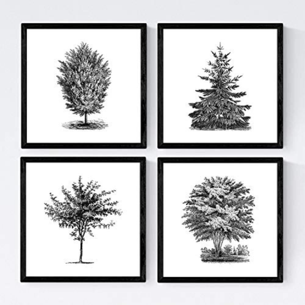 POSTER Set mit 4 Blättern der Bäume in der Welt weiß 30x30 cm Rahmenlos - Klar, Papier (30/3cm) - Nacnic